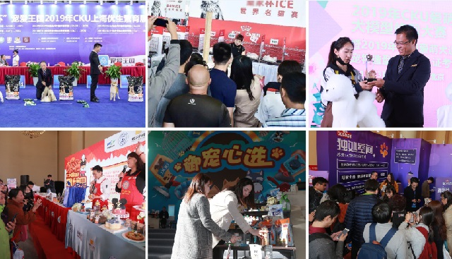 深圳華南寵物用品展Pet Fair South China(m.cqmrd.com)