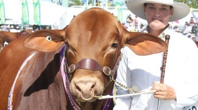 2021澳大利亞牛肉產(chǎn)業(yè)及肉類加工展覽會舉辦時間Beef Australia(m.cqmrd.com)