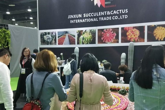 亞洲國際花卉園藝展覽會(huì)Flower Expo(m.cqmrd.com)